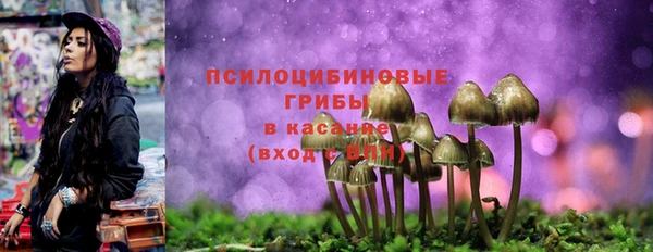 трава Армянск