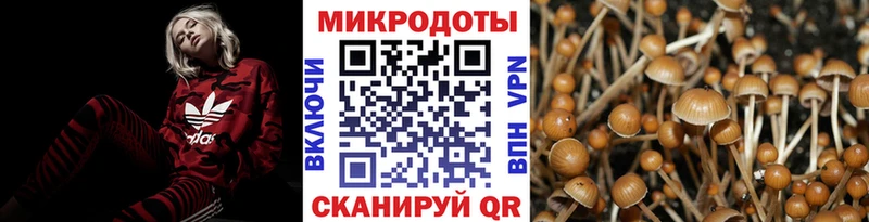 Галлюциногенные грибы прущие грибы  магазин продажи наркотиков  Среднеуральск 